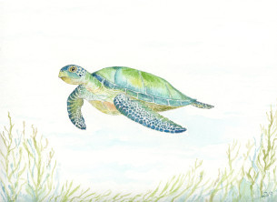 Green Turtle vertical